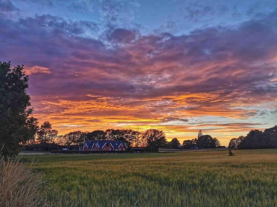 Kongsholmlund. Enjoy The Countryside. Apartment Vejby Ngoại thất bức ảnh